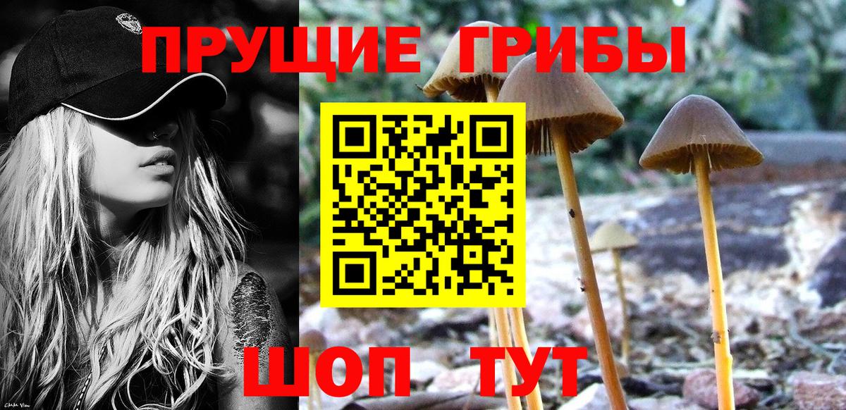 Псилоцибиновые грибы мицелий Реутов